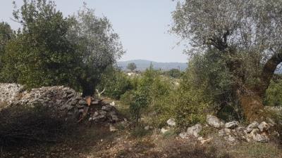 21---1054--Custom-