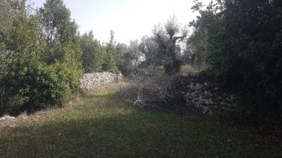 26---1054--Custom-