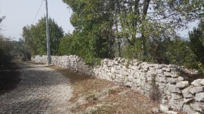 38---1054--Custom-