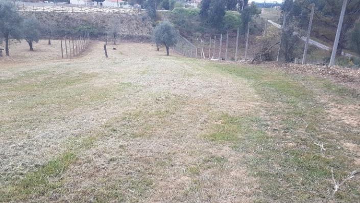 Image No.10-4 Bed Farmhouse for sale