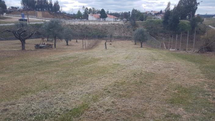 Image No.11-4 Bed Farmhouse for sale