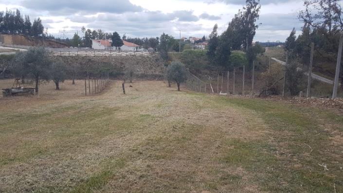 Image No.13-4 Bed Farmhouse for sale