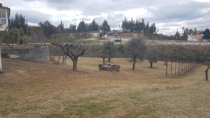 Image No.14-4 Bed Farmhouse for sale