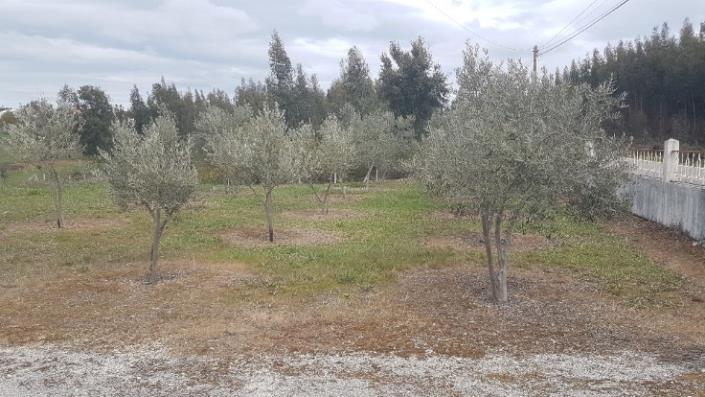 Image No.18-4 Bed Farmhouse for sale