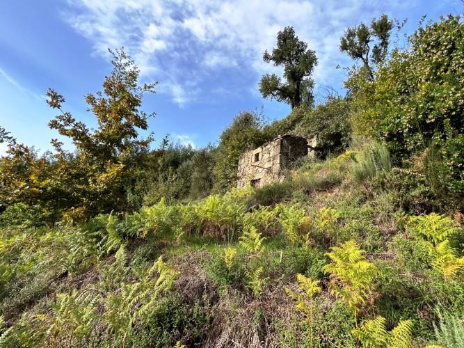 Image No.9-Plot for sale