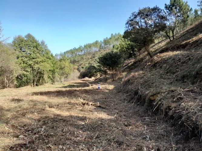 Image No.4-Plot for sale