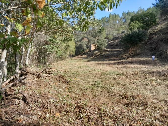 Image No.5-Plot for sale