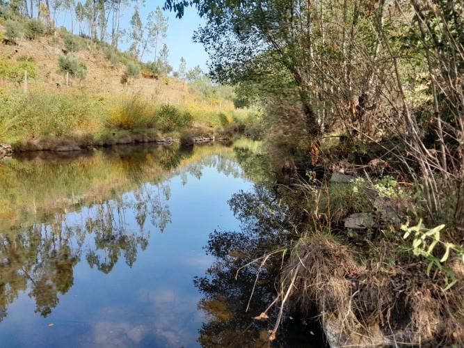 Image No.6-Plot for sale