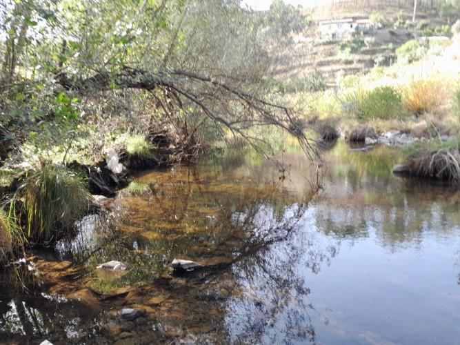 Image No.8-Plot for sale