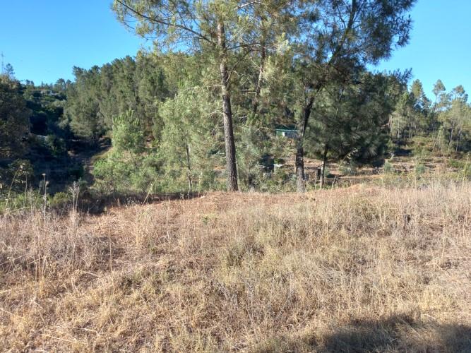 Image No.10-Plot for sale