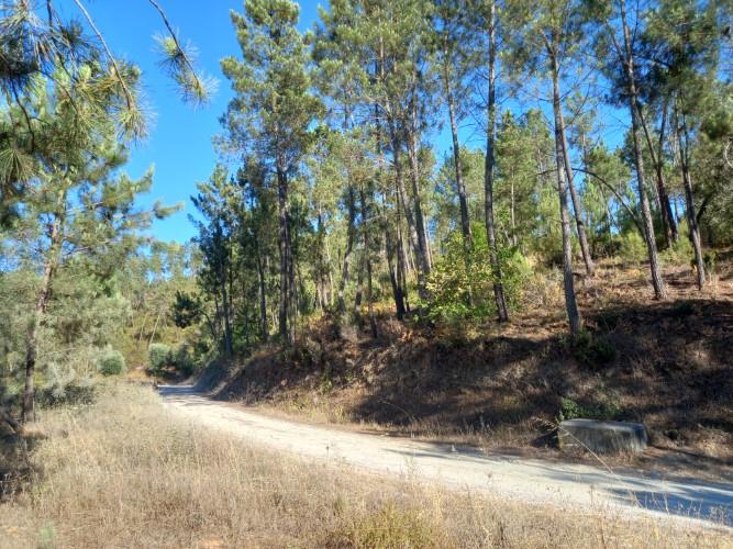 Image No.11-Plot for sale