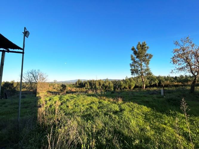 Property for sale in Leiria 662 properties A Place in the Sun