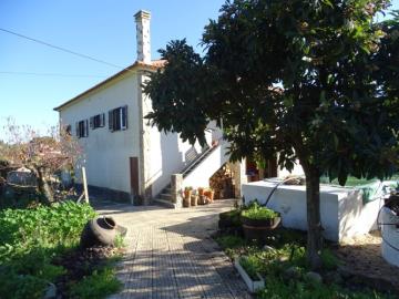 1 - Sertã, Ferme