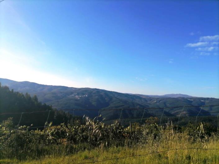 Image No.12-Maison de campagne à vendre à Oleiros