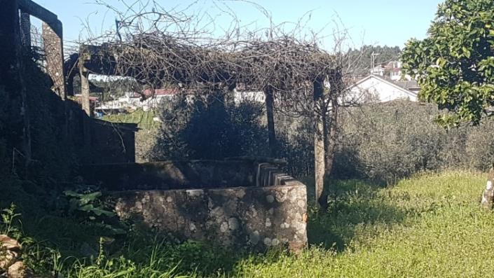 Image No.5-Terre à vendre à Pedrógão Grande