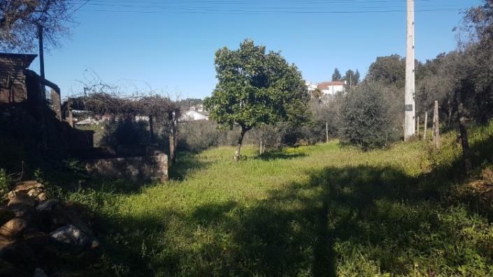 Image No.6-Terre à vendre à Pedrógão Grande