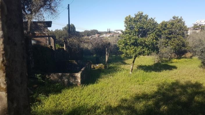 Image No.7-Terre à vendre à Pedrógão Grande