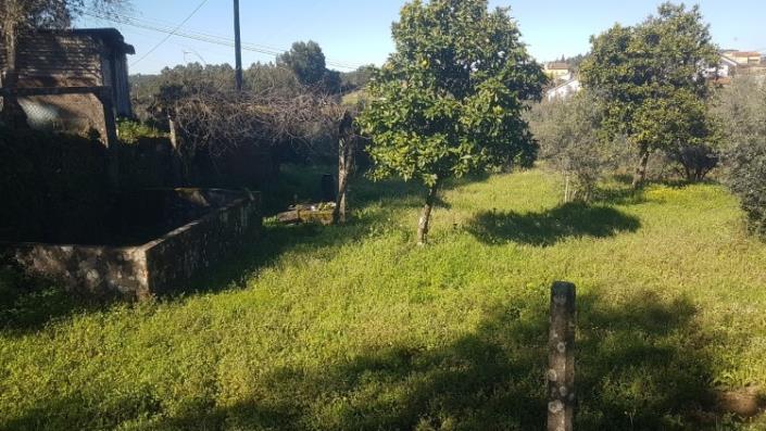 Image No.8-Terre à vendre à Pedrógão Grande