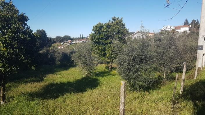 Image No.9-Terre à vendre à Pedrógão Grande