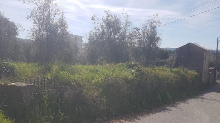 Image No.16-Terre à vendre à Pedrógão Grande