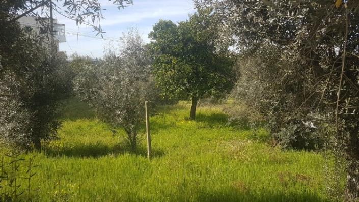 Image No.17-Terre à vendre à Pedrógão Grande