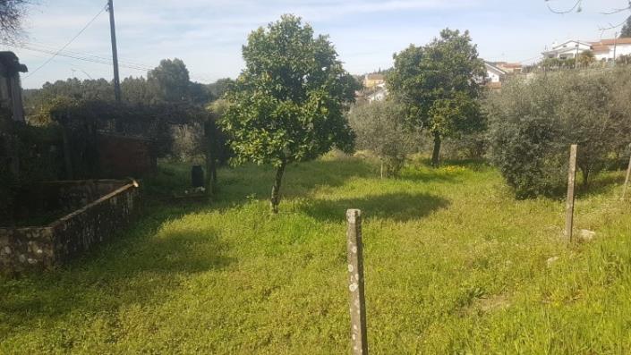 Image No.18-Terre à vendre à Pedrógão Grande