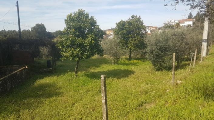 Image No.19-Terre à vendre à Pedrógão Grande