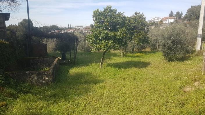 Image No.20-Terre à vendre à Pedrógão Grande