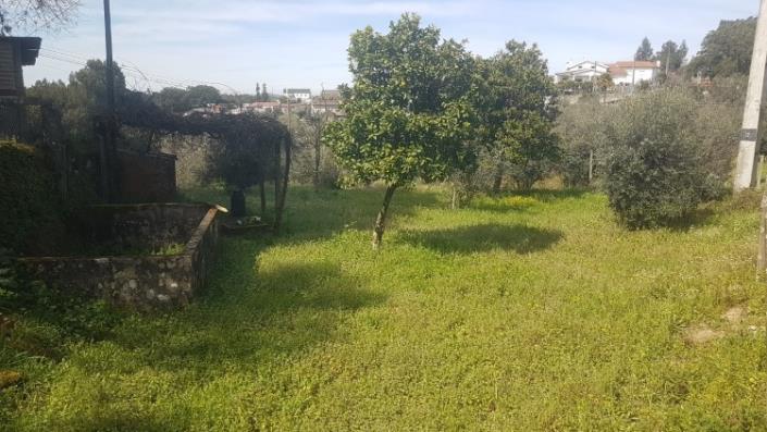 Image No.21-Terre à vendre à Pedrógão Grande