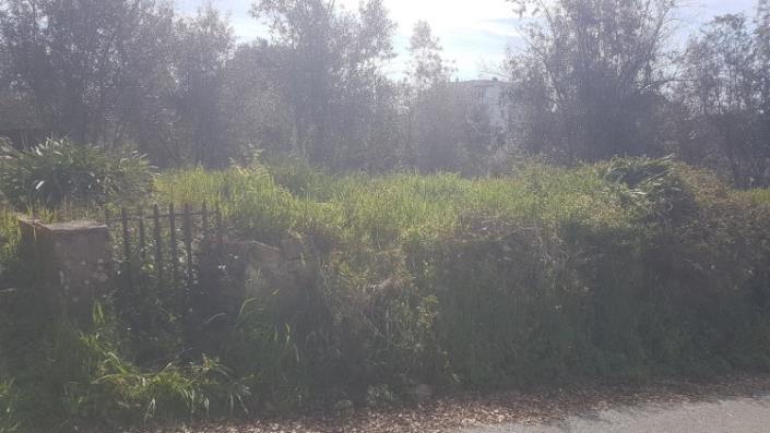 Image No.25-Terre à vendre à Pedrógão Grande