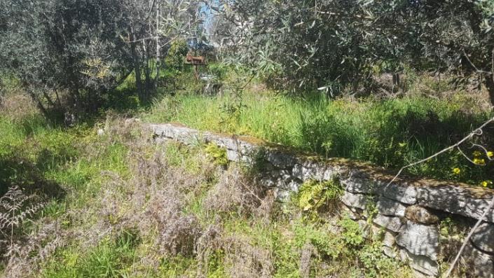 Image No.26-Terre à vendre à Pedrógão Grande