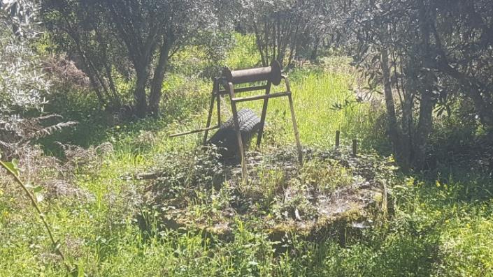 Image No.29-Terre à vendre à Pedrógão Grande