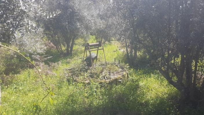 Image No.28-Terre à vendre à Pedrógão Grande