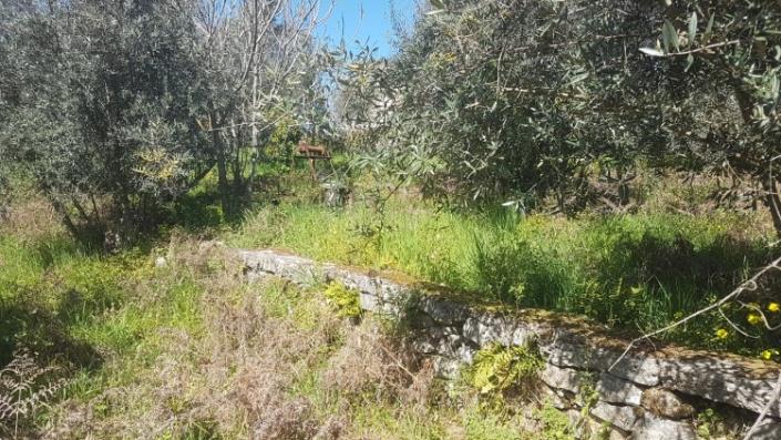 Image No.33-Terre à vendre à Pedrógão Grande