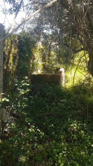 Image No.32-Terre à vendre à Pedrógão Grande