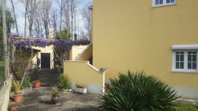 11---1096--Custom-
