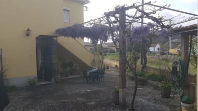 12---1096--Custom-
