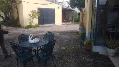 16---1096--Custom-