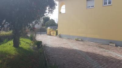 18---1096--Custom-