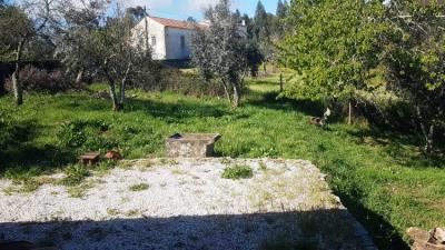 14---1098--Custom-