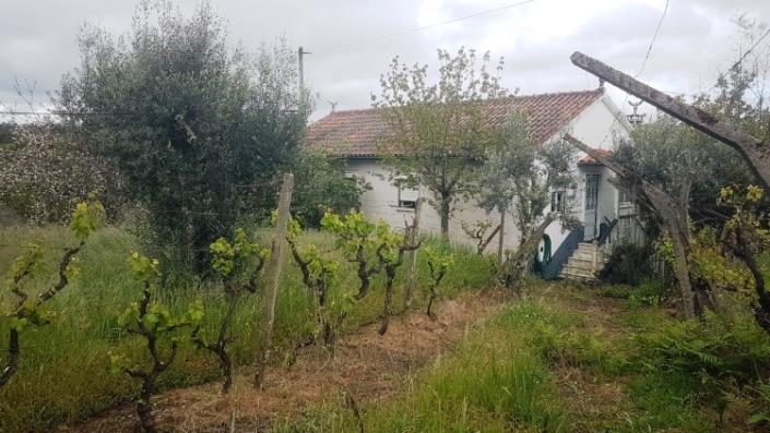 Image No.16-4 Bed Farmhouse for sale