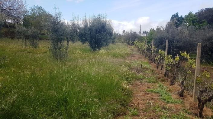 Image No.20-4 Bed Farmhouse for sale