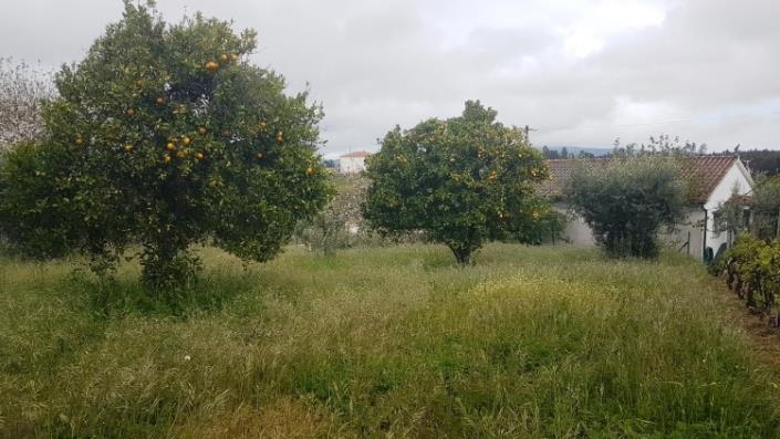 Image No.21-4 Bed Farmhouse for sale