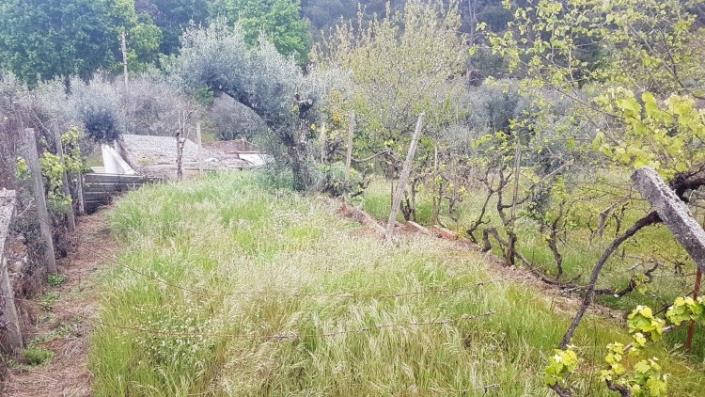 Image No.23-4 Bed Farmhouse for sale