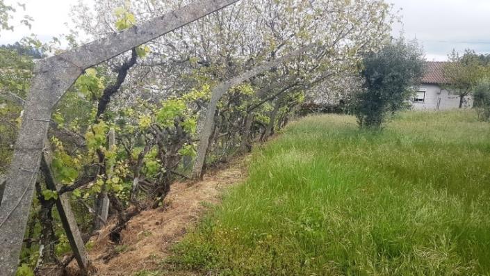 Image No.24-4 Bed Farmhouse for sale