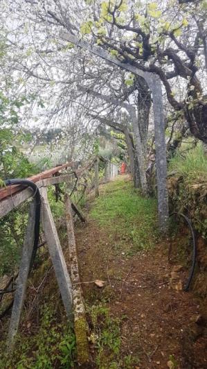 Image No.25-4 Bed Farmhouse for sale