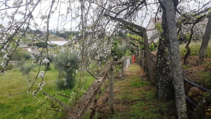 Image No.26-4 Bed Farmhouse for sale