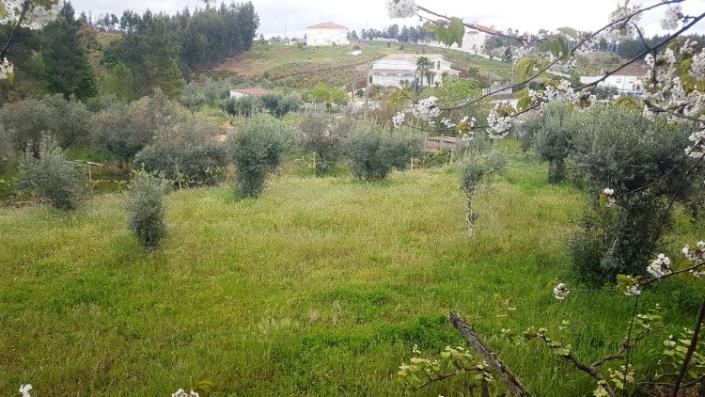 Image No.27-4 Bed Farmhouse for sale