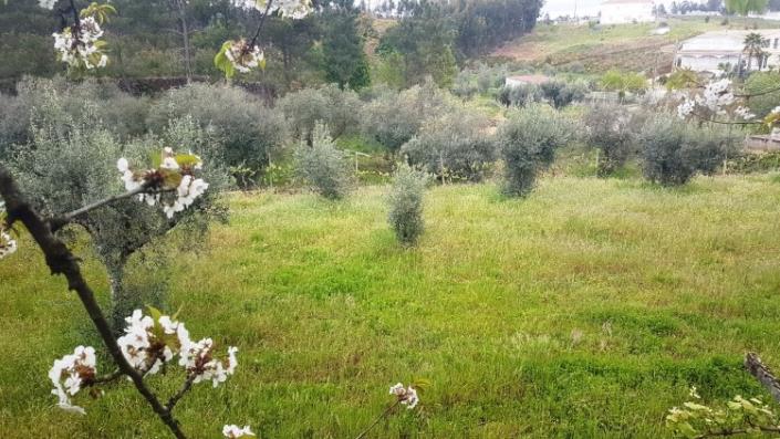 Image No.28-4 Bed Farmhouse for sale