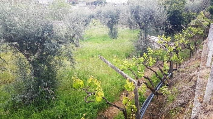 Image No.29-4 Bed Farmhouse for sale